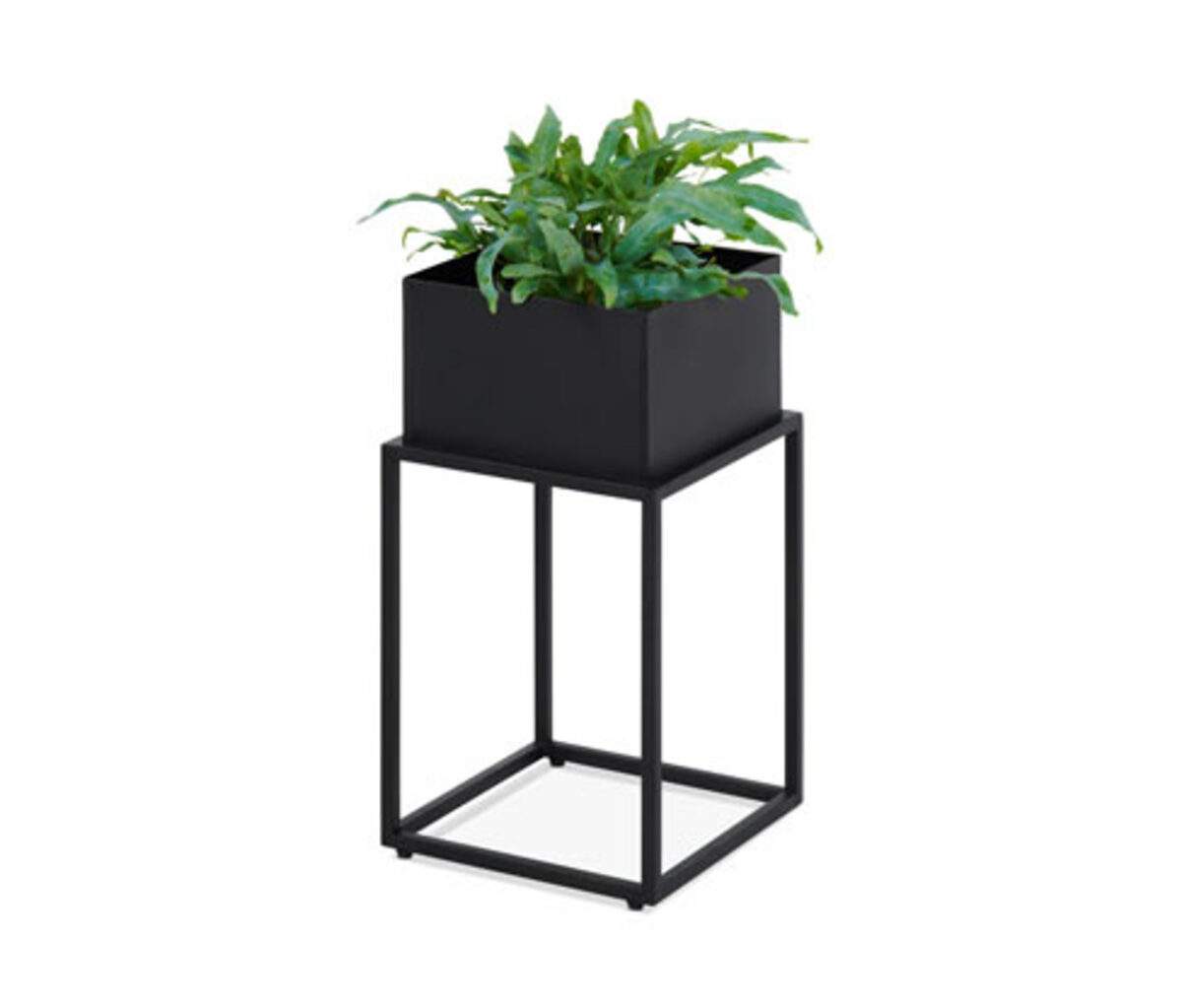 Bild 1 von Pflanzenbox