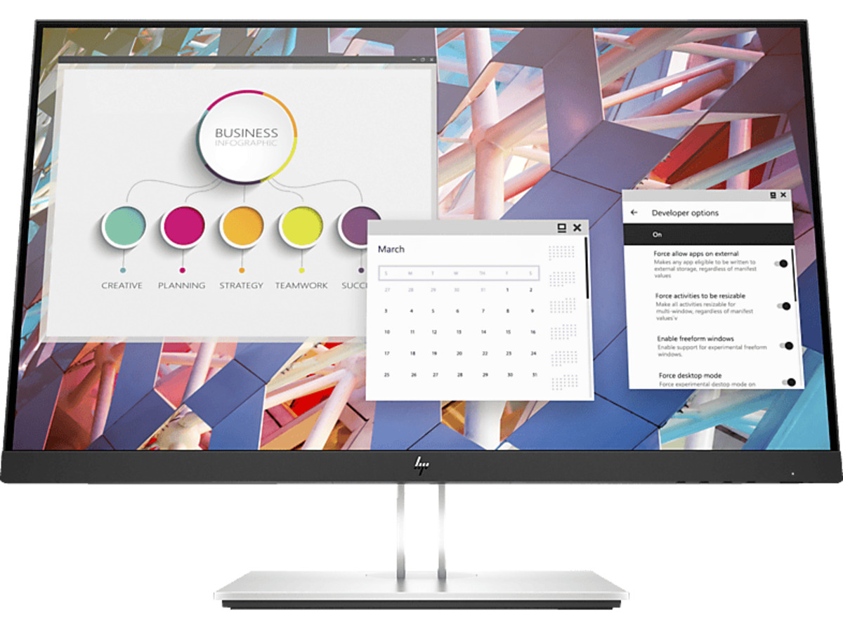 Bild 1 von HP E-Series E24 G4 23,8 Zoll Full-HD Monitor (5 ms Reaktionszeit, 60 Hz)