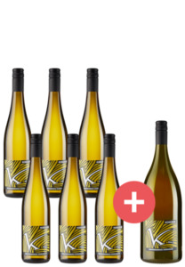 6er-Paket Grauburgunder Lagen-Highlight + GRATIS Magnum - Kesselring - Weinpakete
