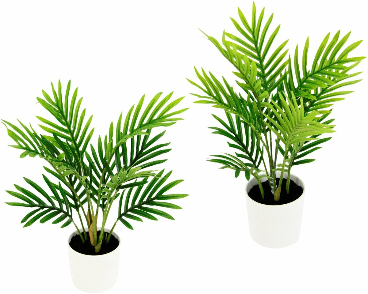Bild 1 von Kunstpflanze Arecapalme, I.GE.A., Höhe 30 cm, Mit Kunsterde, 2er Set