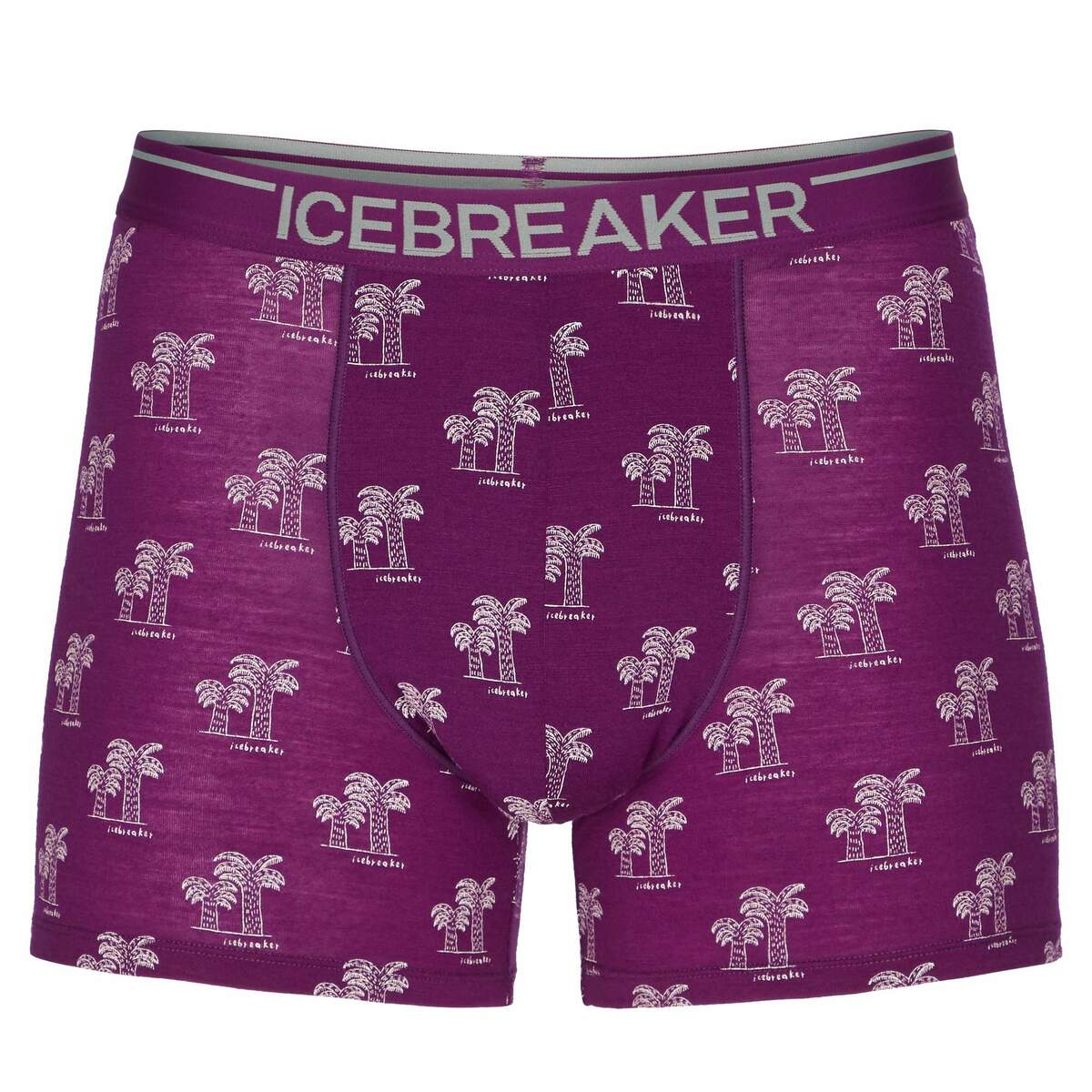 Bild 1 von Icebreaker
              
                 M ANATOMICA BOXERS Herren - Funktionsunterwäsche