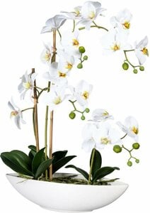 Kunstorchidee Phalaenopsis Orchidee Phalaenopsis, Creativ green, Höhe 60 cm, im Keramikschiff, Weiß