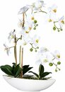 Bild 1 von Kunstorchidee Phalaenopsis Orchidee Phalaenopsis, Creativ green, Höhe 60 cm, im Keramikschiff, Weiß