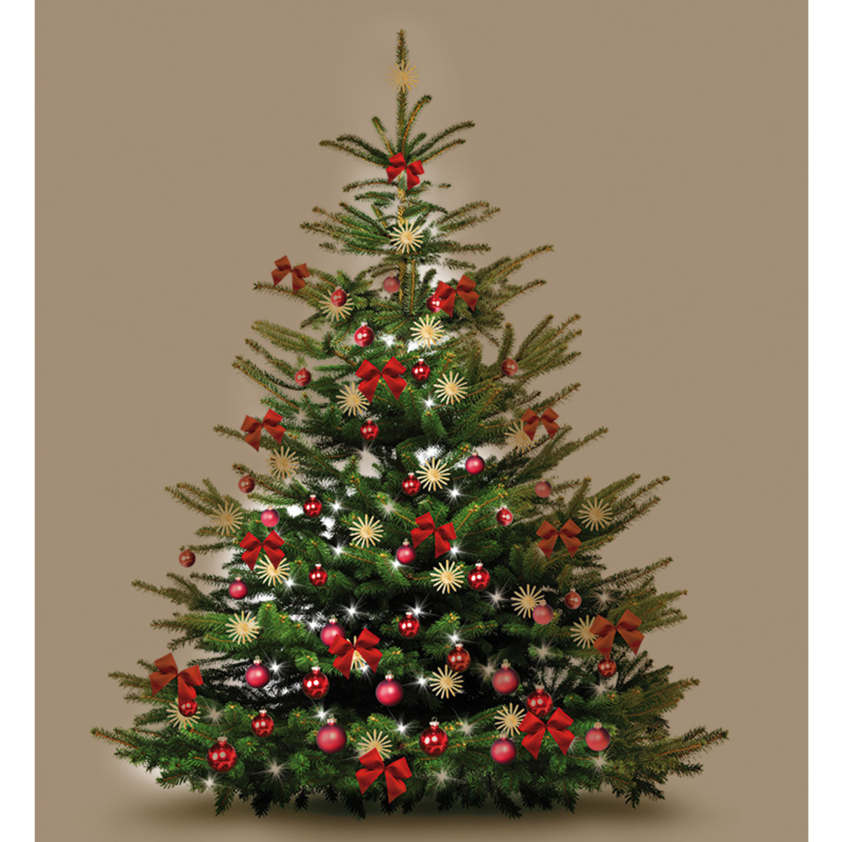 Bild 3 von Weihnachtsbaum