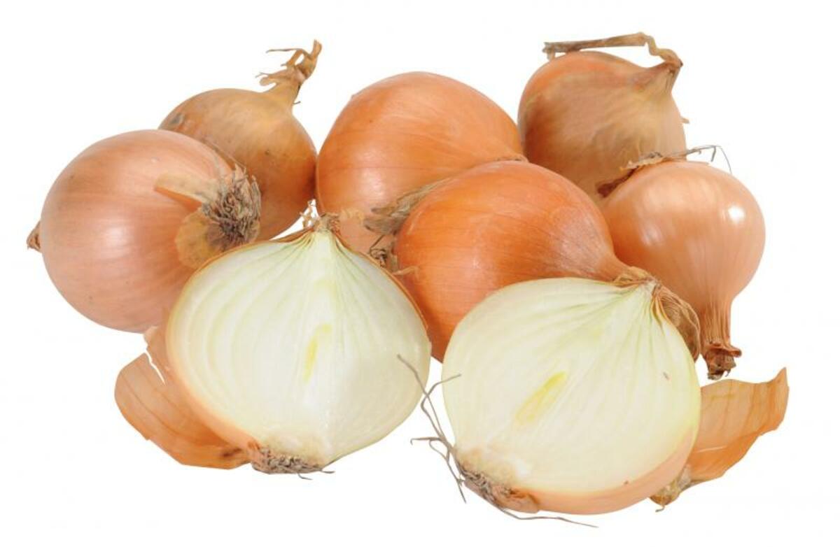 Bild 1 von Bio Zwiebeln im Netz