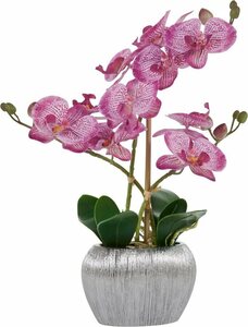 Kunstpflanze Orchidee, Home affaire, Höhe 38 cm, Kunstorchidee, im Topf, Lila