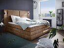 Bild 1 von COLLECTION AB Boxspringbett Copenhagen, inklusive Bettkasten, Topper, wahlweise mit LED-Beleuchtung, Braun