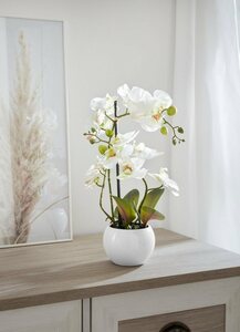 Kunstorchidee Ernestine Orchidee, Home affaire, Höhe 42 cm, Kunstpflanze, im Topf, Weiß