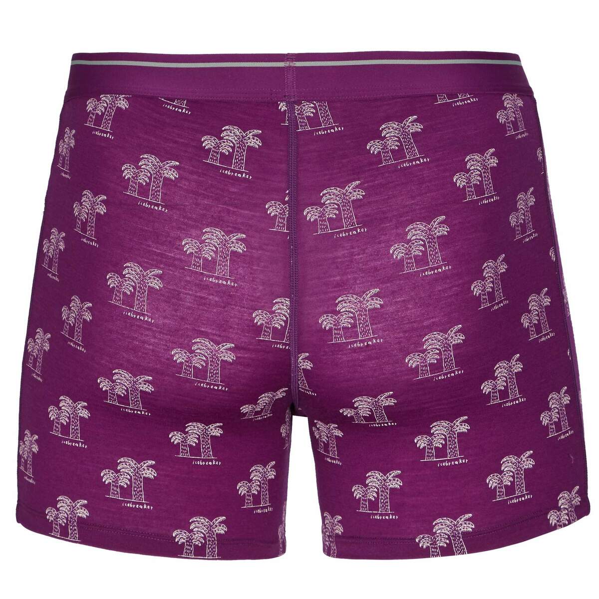 Bild 2 von Icebreaker
              
                 M ANATOMICA BOXERS Herren - Funktionsunterwäsche