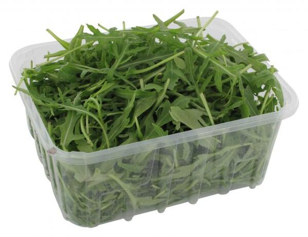 Bild 1 von Bio Rucola Salat