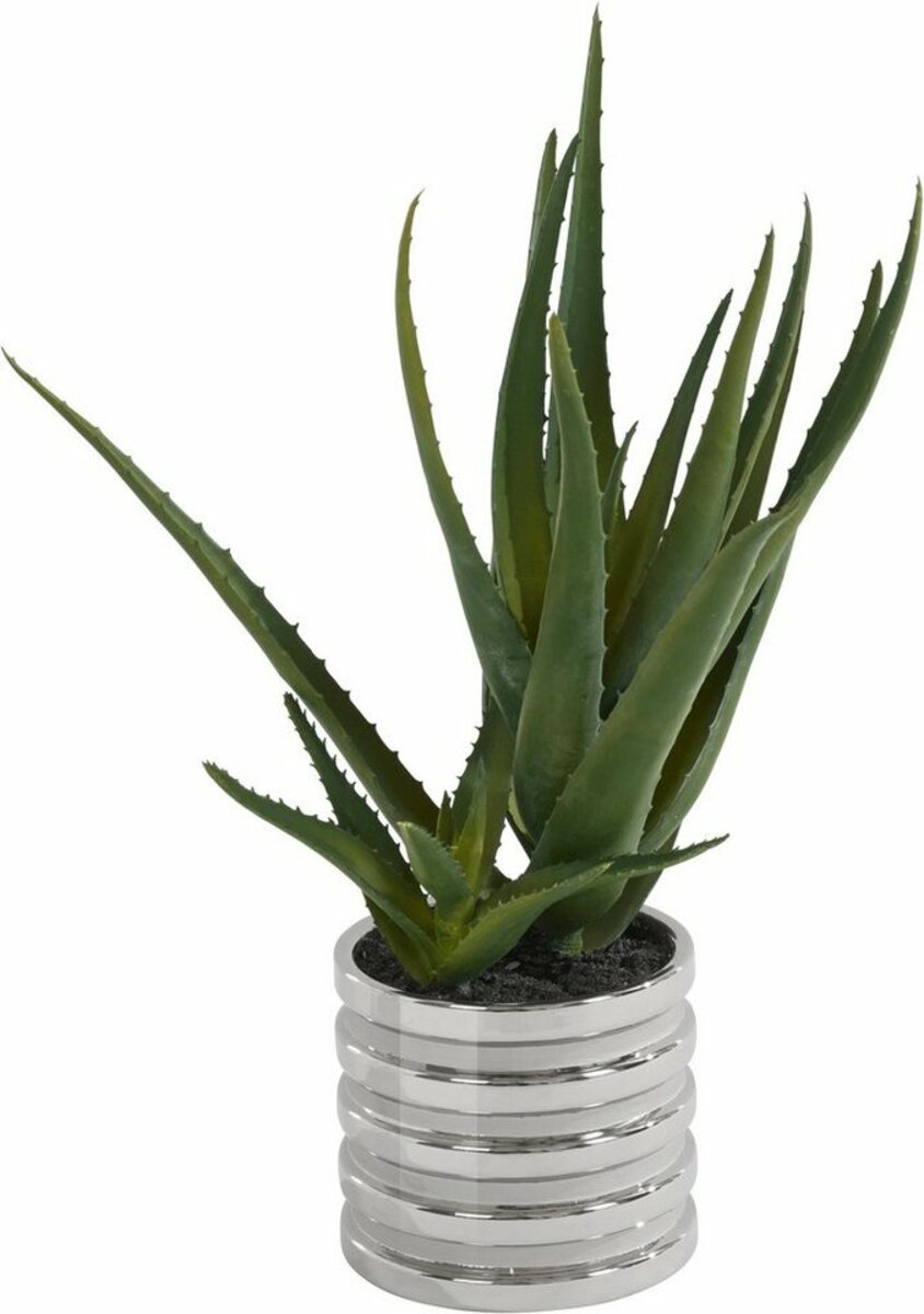 Bild 1 von Kunstpflanze Auvergno Aloe, Guido Maria Kretschmer Home&Living, Höhe 40 cm, Sukkulente, im Topf, Grün