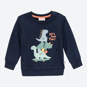 Baby-Jungen-Sweatshirt mit Dino-Frontaufdruck