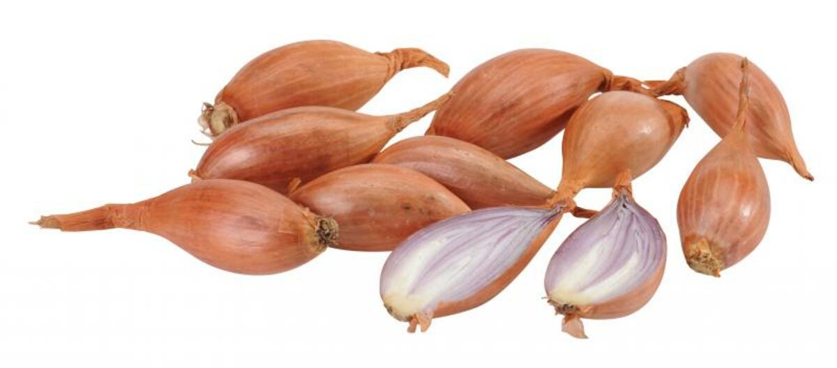 Bild 1 von Schalotten im Netz