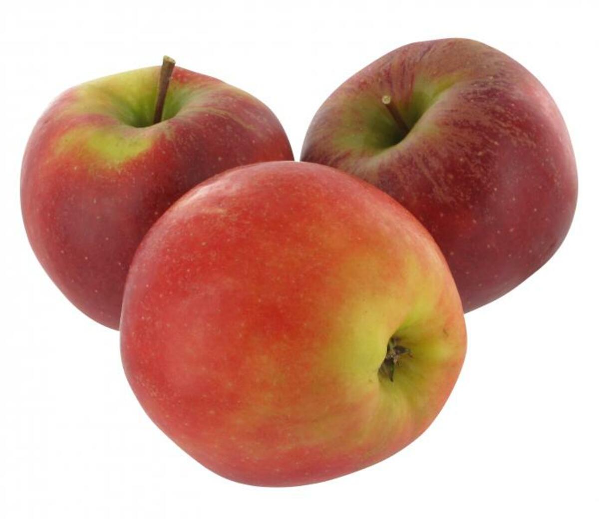 Bild 1 von Apfel Elstar