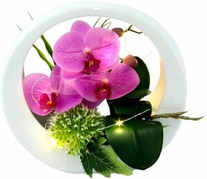 Kunstorchidee Orchidee, I.GE.A., Höhe 20 cm, im Keramiktopf, mit LED-Beleuchtung, Rosa