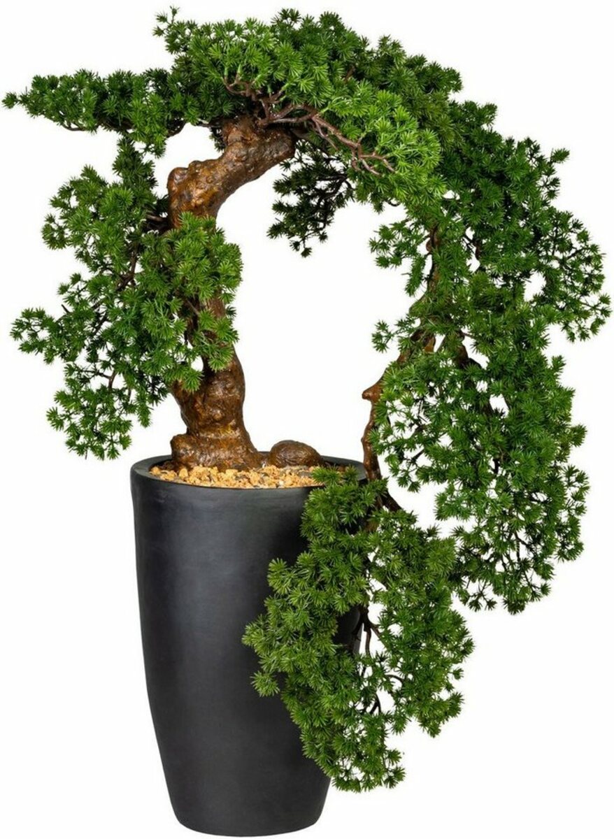 Bild 1 von Kunstbonsai Carolyne Bonsai Lärche Han-Kengai, Leonique, Höhe 70 cm, Kunstpflanze, im Magnesiatopf, Grün