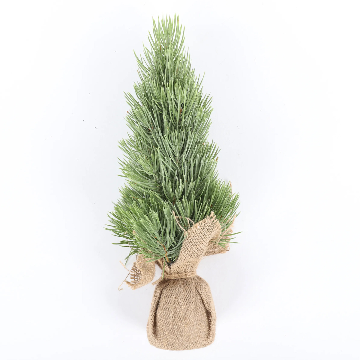 Bild 1 von Dekotanne für Innen 33cm
                 
                                                        Grün