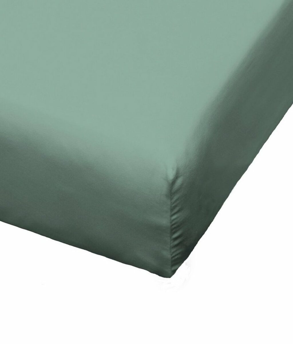 Bild 1 von Spannbettlaken Biber, kuschelig warm im Winter, BIERBAUM, Biber, Gummizug: rundum, (1 Stück), 100% Baumwolle, pflegeleicht, für Matratzen bis 20 cm Höhe, Grün