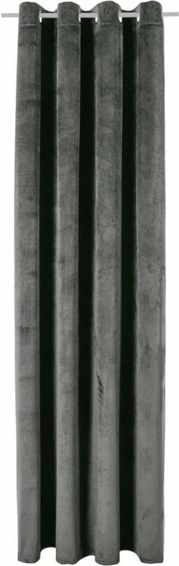 Bild 1 von Vorhang Leroy, Bruno Banani, Ösen (1 St), blickdicht, Samt, blickdicht, monochrom, verschiedene Größen, Grau