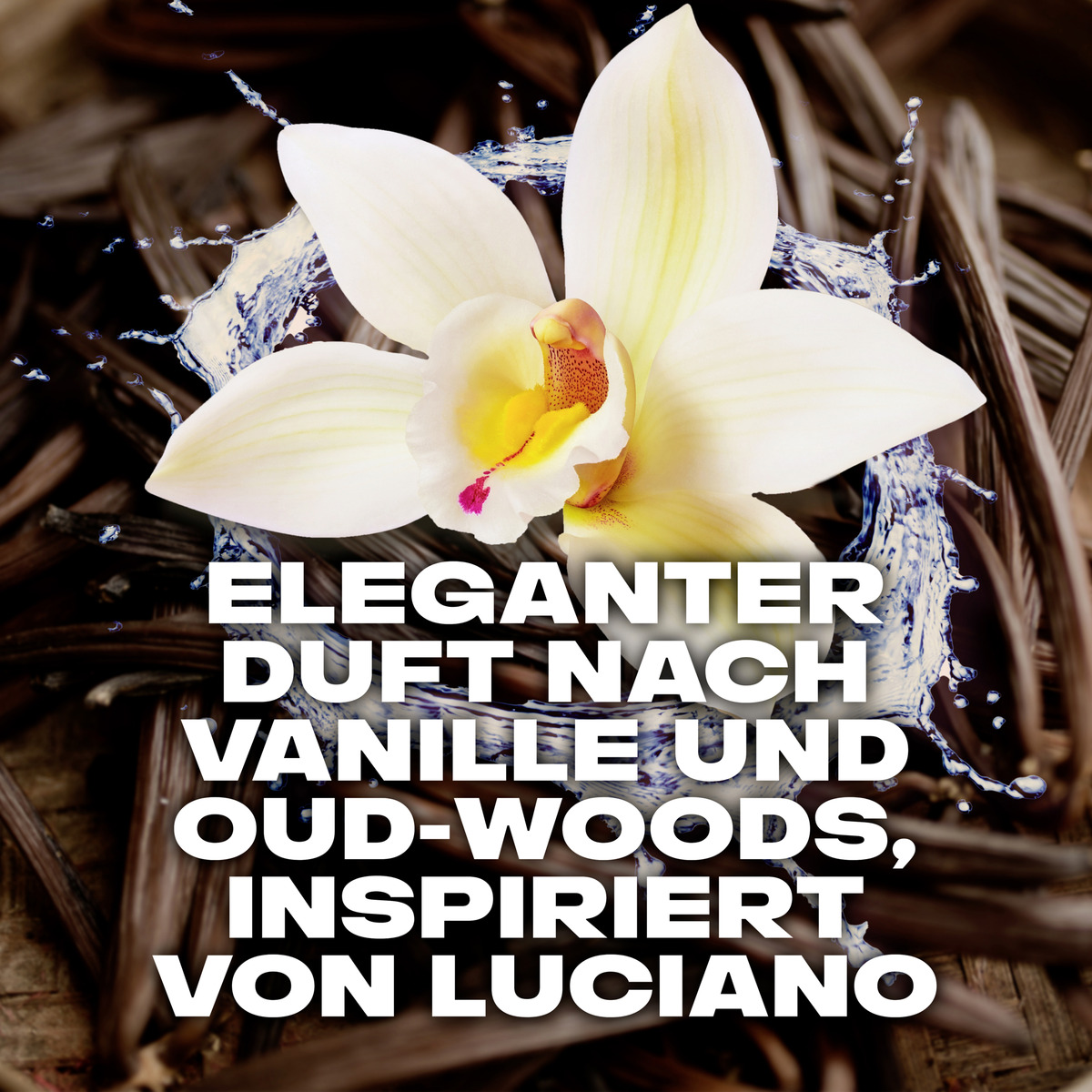 Bild 3 von AXE 3in1 Duschgel & Shampoo Flaxe