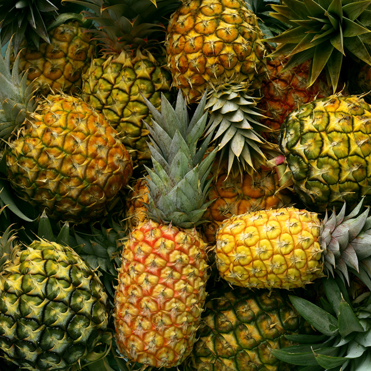 Bild 2 von Ananas