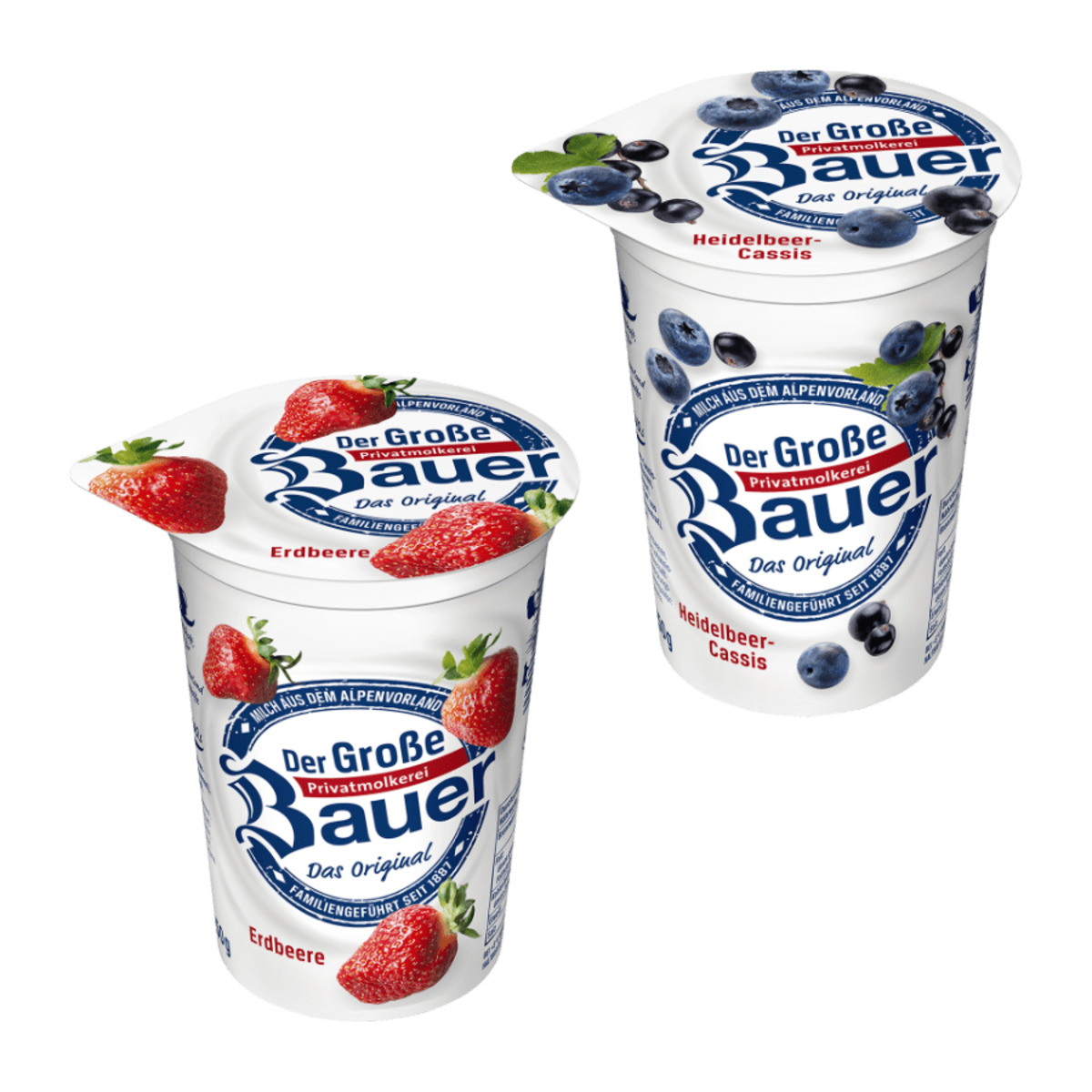 Bild 1 von BAUER Der Große Bauer