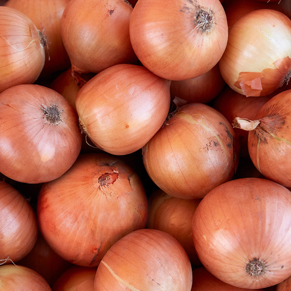 Bild 2 von Ernte Krone Fresh Metzgerzwiebeln