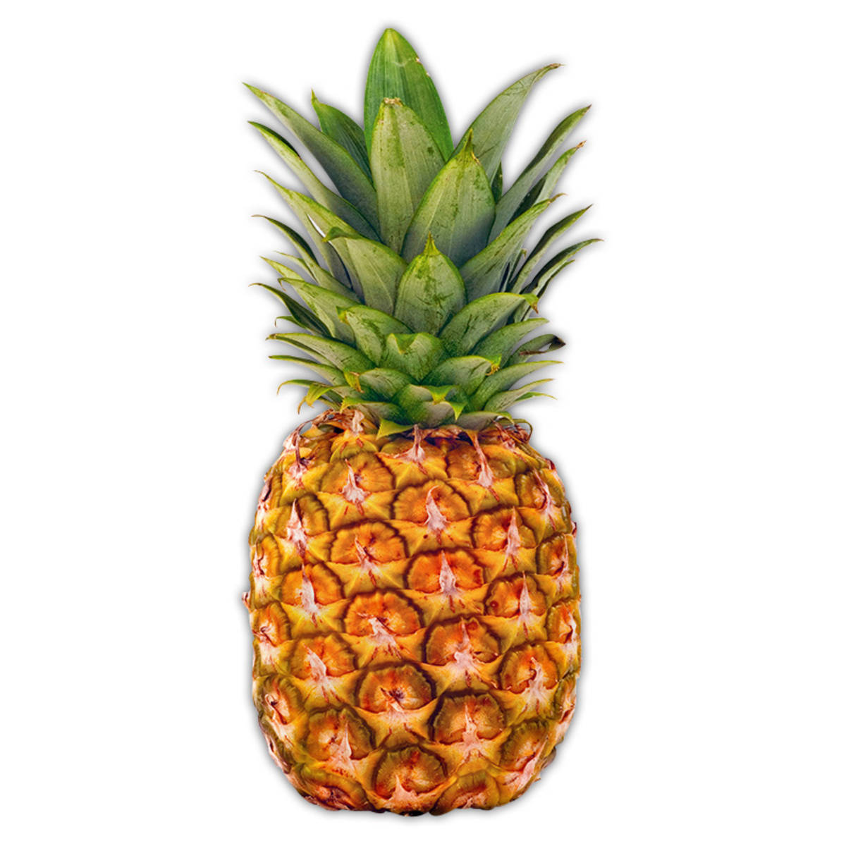 Ananas von Norma ansehen!