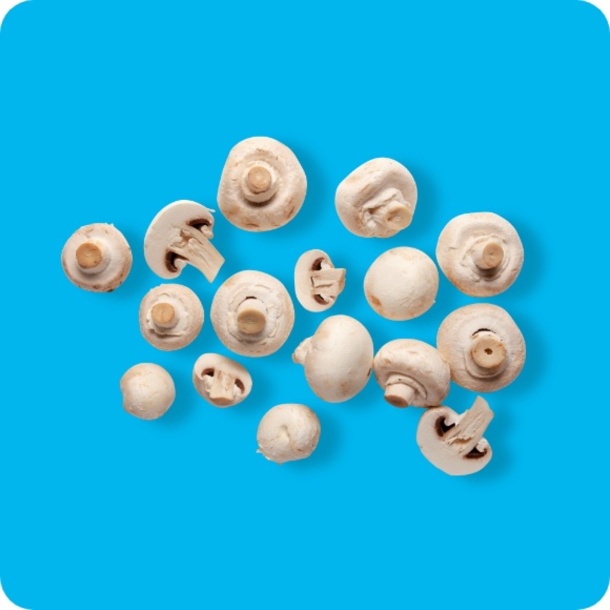 Bild 1 von Champignons, weiß