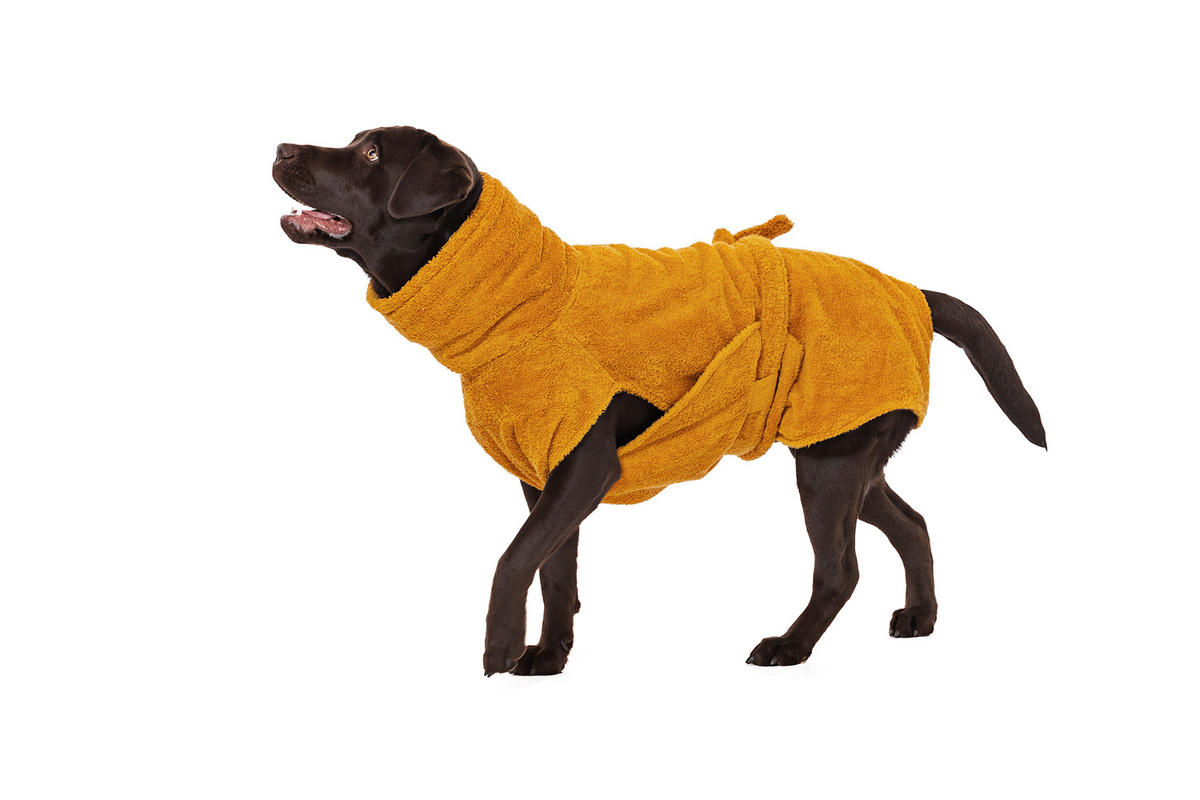 Bild 1 von Lills Hundebademantel "Amber" 65 cm