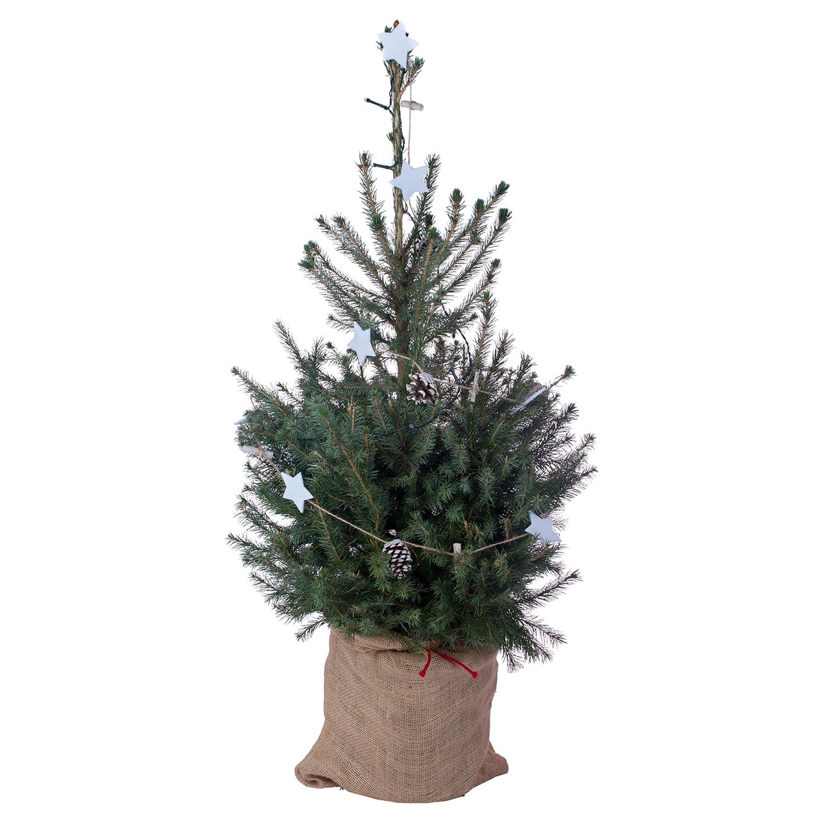Bild 3 von GARDENLINE Dekorierter Weihnachtsbaum