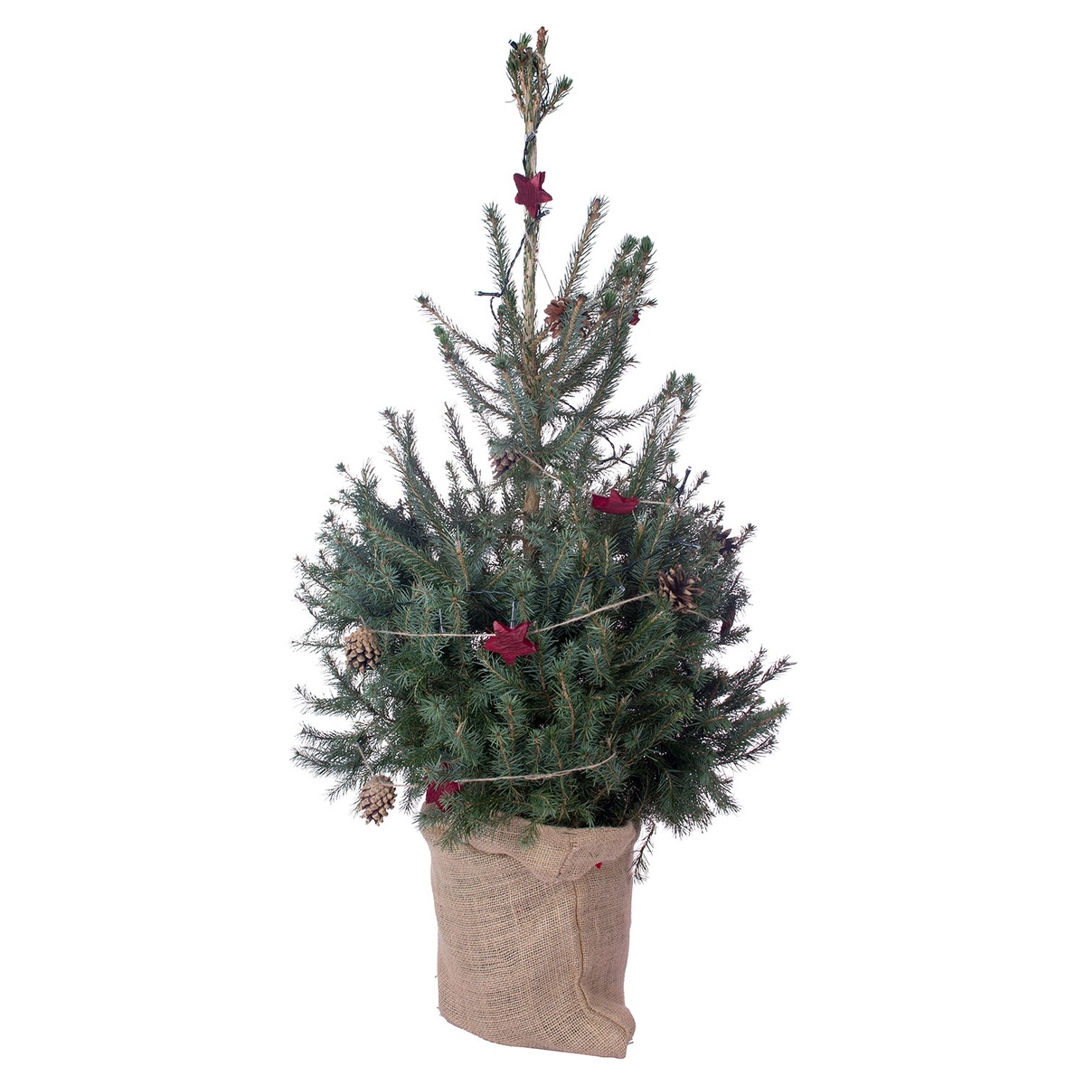 Bild 1 von GARDENLINE Dekorierter Weihnachtsbaum