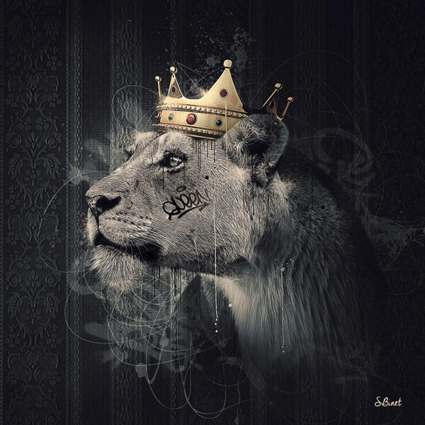 Bild 1 von Monee Kunstdruck Lion Couronne II, Grau, Schwarz, Gold, Papier, quadratisch, 50x50 cm, Bilder, Leinwandbilder