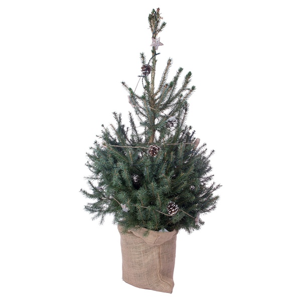 Bild 2 von GARDENLINE Dekorierter Weihnachtsbaum