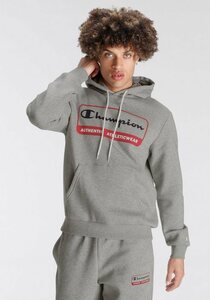 Champion Sweatshirt Graphic Shop Hooded Sweatshirt, Grau