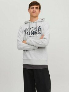Jack & Jones Kapuzensweatshirt JJJAMES SWEAT HOOD, Weiß