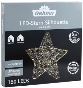 Dehner LED-Lichterkette LED-Stern Silhouette, Ø 58 x 6.5 cm, Metall, mit 160 LEDs/Timer, Lichtfarbe warmweiß, für Indoor/Outdoor, silber