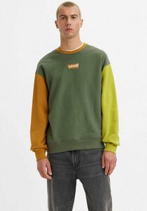 Levi's® Sweatshirt RELAXD GRAPHIC CREW, Braun|bunt|grün