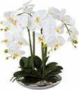 Bild 1 von Kunstorchidee Deko-Orchidee Phalaenopsis in Keramikschale Orchidee Phalenopsis, Creativ green, Höhe 41 cm, Weiß