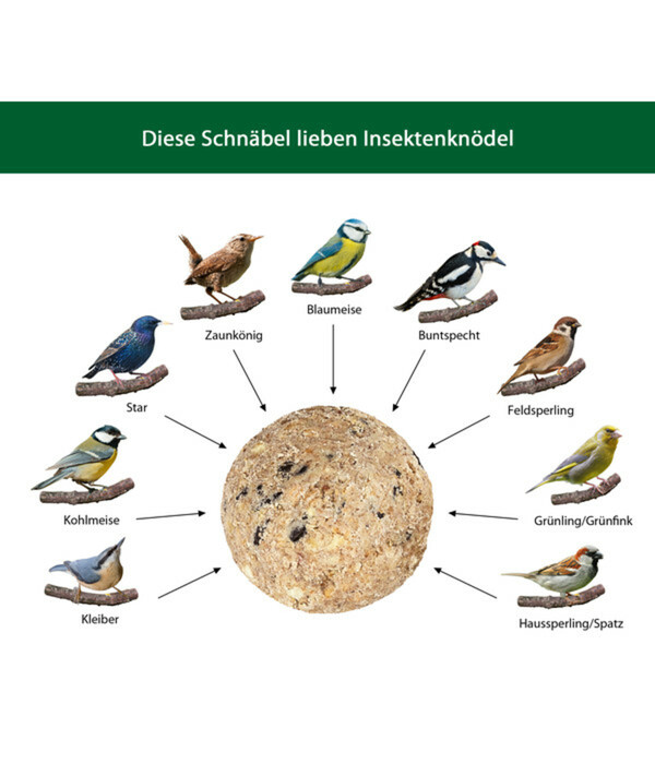 Bild 4 von Dehner Natura Wildvogelfutter Insekten-Knödel im Karton, mit Netz, 30 Stk.