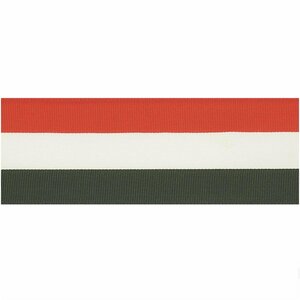 Paper Poetry Webband Streifen 38mm 3m rot-weiß-grün