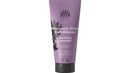 Bild 1 von URTEKRAM Maximum Shine Conditioner Soothing Lavender