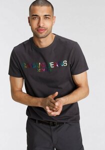 Bruno Banani T-Shirt mit Rainbowprint, Grau