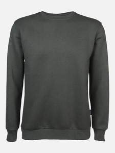 Herren Sweatshirt mit rundem Ausschnitt
                 
                                                        Grün