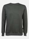Bild 1 von Herren Sweatshirt mit rundem Ausschnitt
                 
                                                        Grün