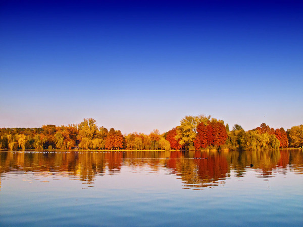 Bild 1 von Papermoon Fototapete "Autumn Lake"