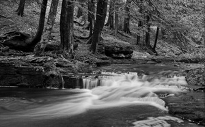 Papermoon Fototapete "Wasserfall Schwarz & Weiß"
