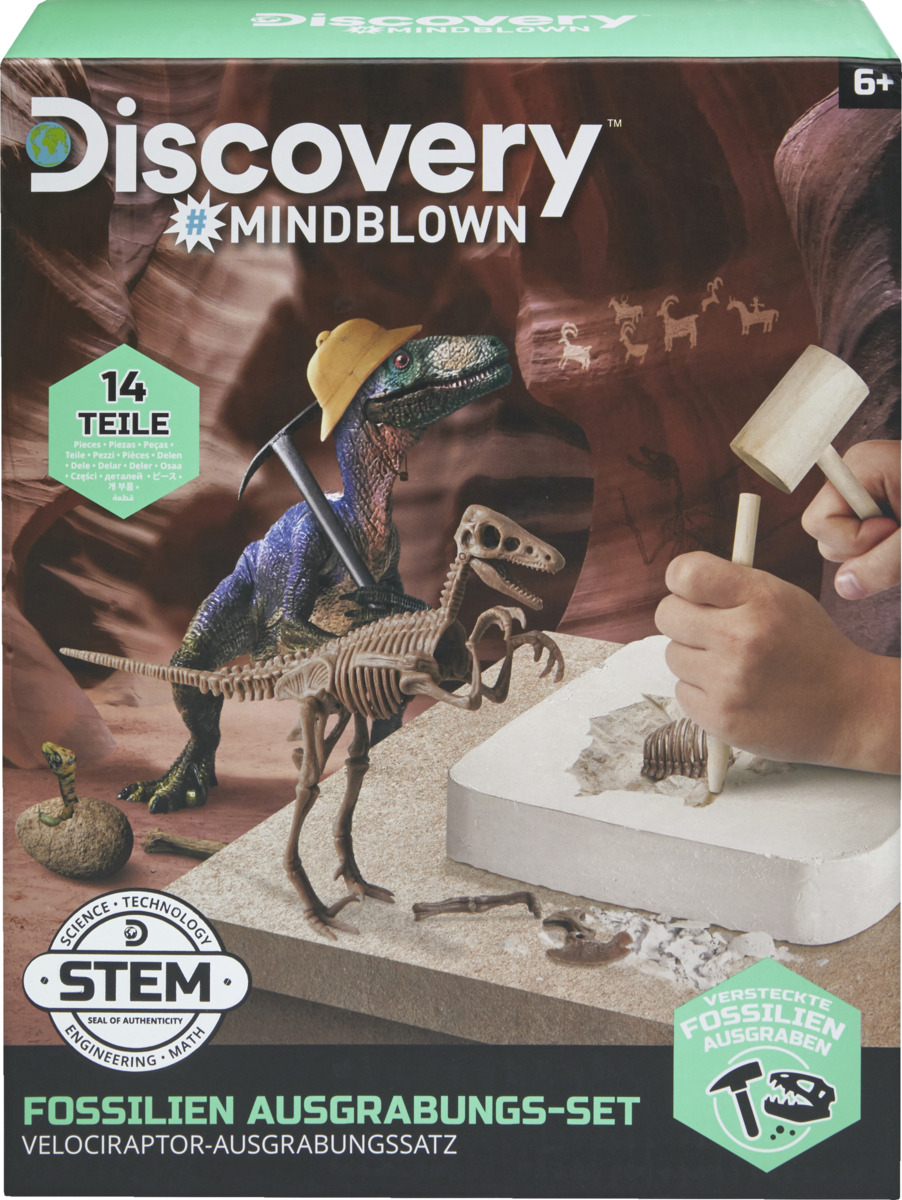 Bild 1 von IDEENWELT Entdecker-Set Fossilien