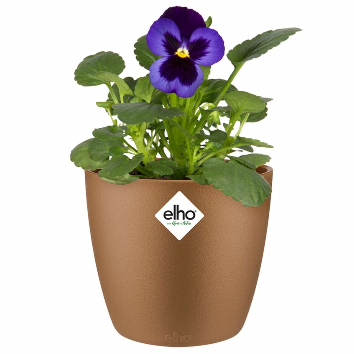 Bild 1 von Deuba® Blumentopf Brussels Samtgold 11x10cm 0,8L