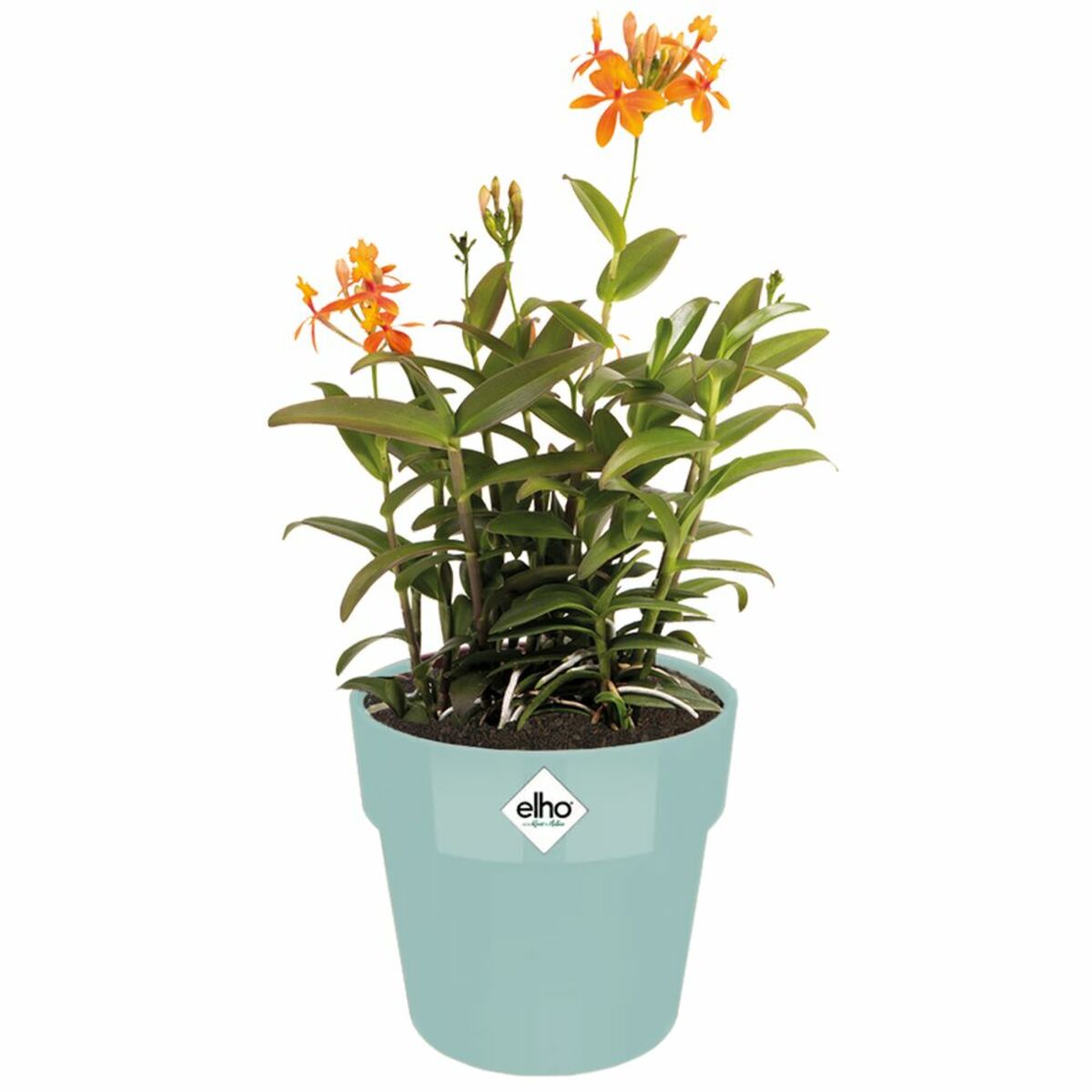 Bild 1 von Deuba® Blumentopf Mint 18x17cm 2,9L